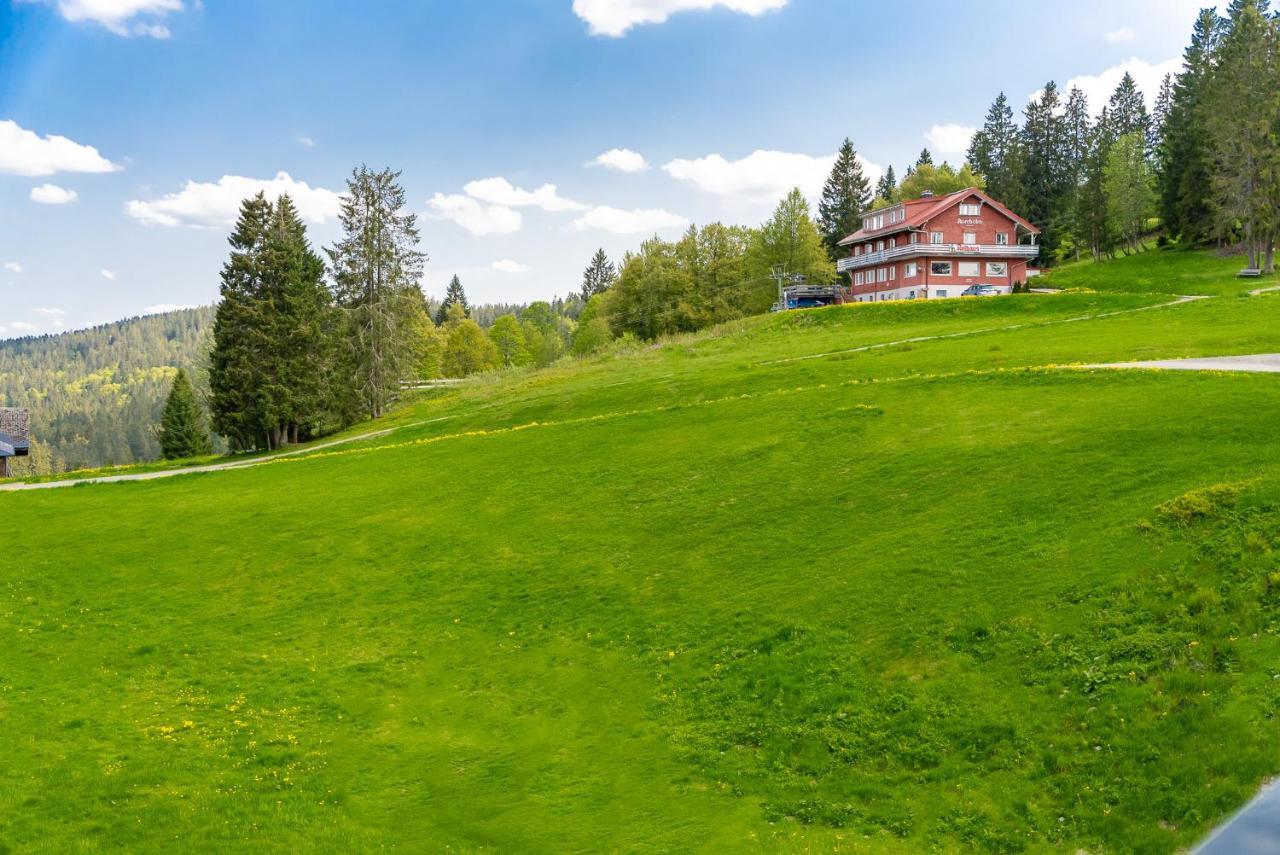 Auerhuhn Apartment Feldberg  Luaran gambar